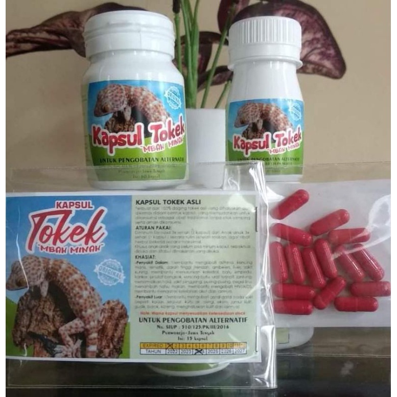 

KAPSUL TOKEK MBAH MINAH ASLI 100% ORIGINAL