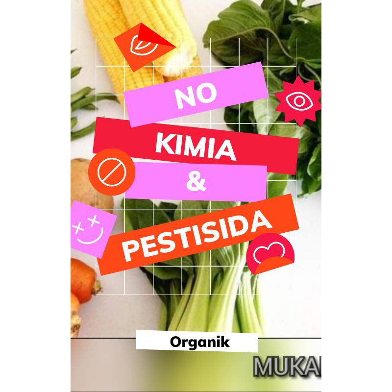 

PAKET SAYUR BOX ORGANIK KEMASAN EKONOMIS MURAH KWALITAS SUPERMARKET