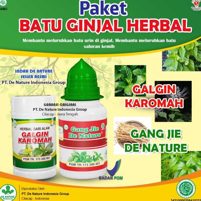Obat Batu Ginjal / Kencing Batu Luruh Batu Galgin Dan Gang Jie Herbal