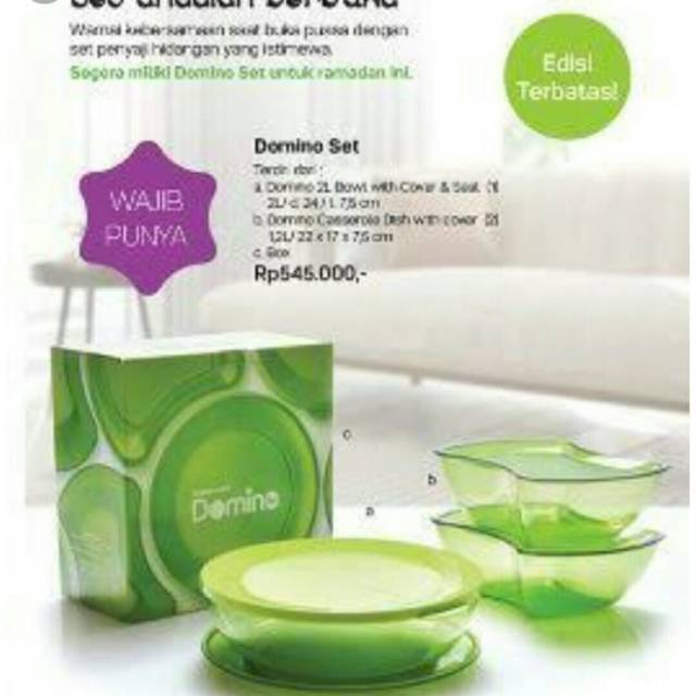 Domino set tupperware