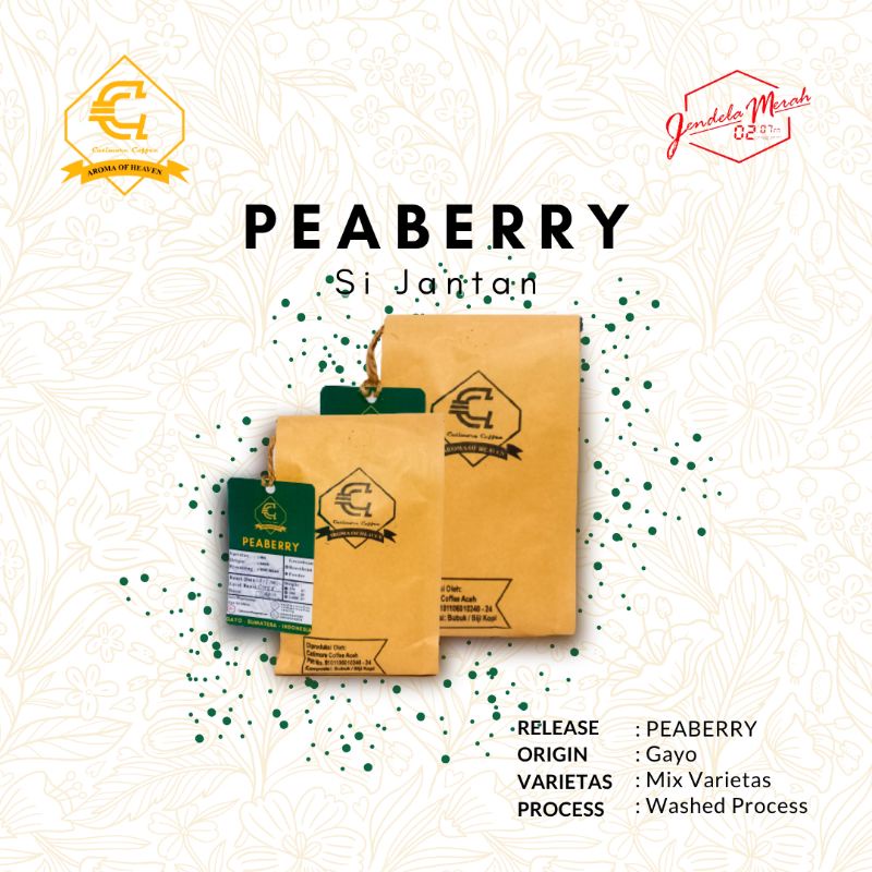 

PEABERRY- Asli Kopi Arabika Gayo