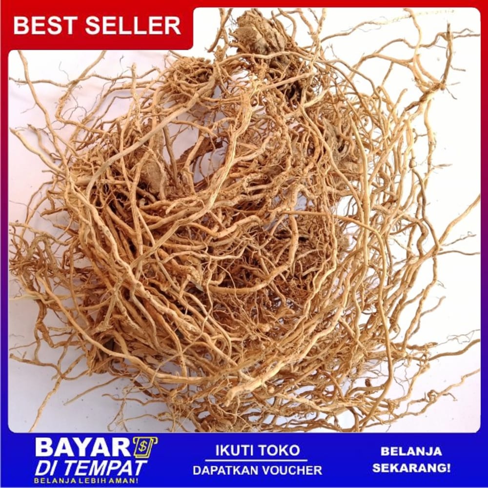 

Ts Murah [1kg] akar wangi kwalitas premium