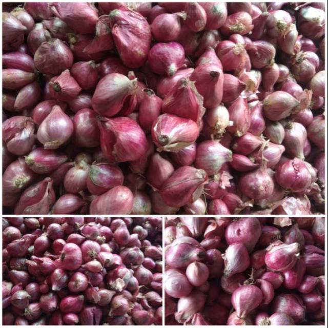 

Bawang Merah