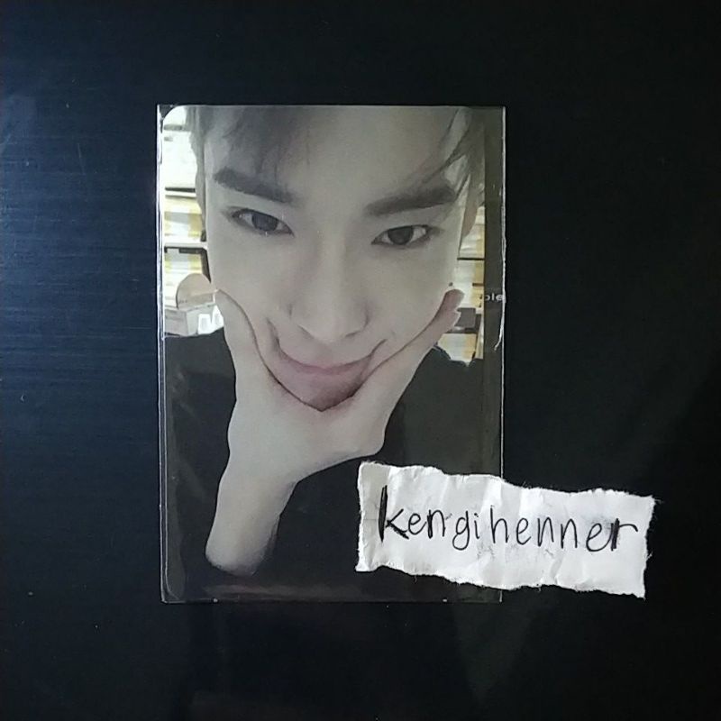 doyoung pc photocard album regulate ver INA