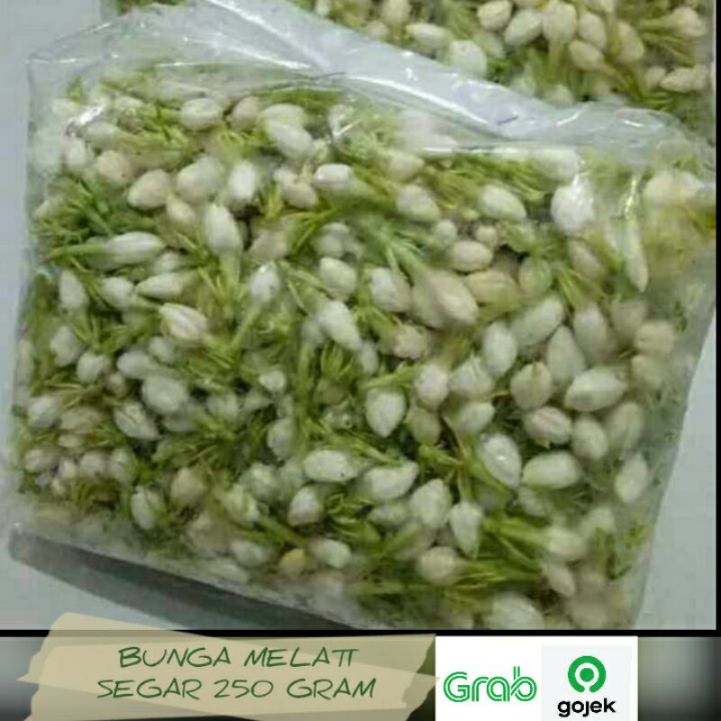 melati tabur dan ronce 250 gram asli flowers jasmine original fresh