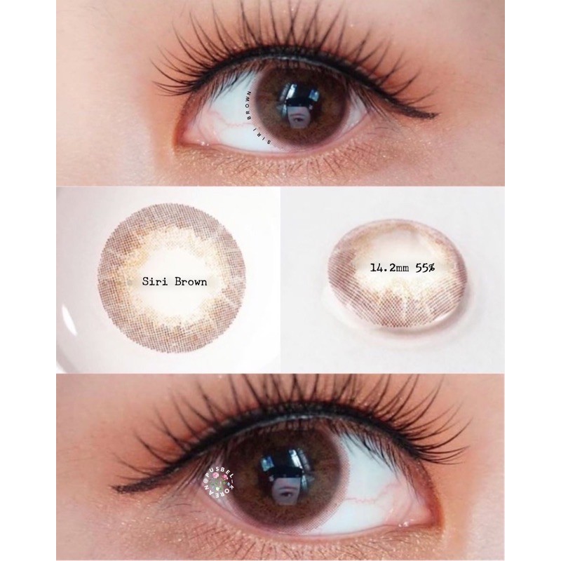 siri brown grey gray softlens korea natural silicone hydrogel