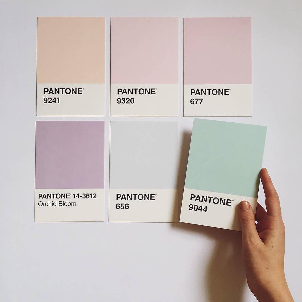 

(SALE) PANTONE COLOR AESTHETIC