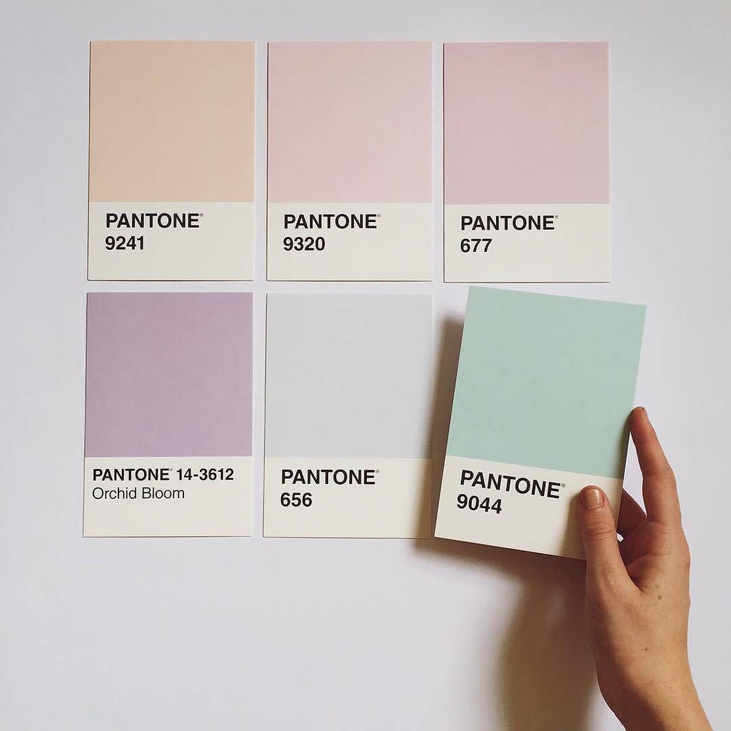 Jual PANTONE COLOR AESTHETIC Shopee Indonesia