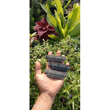 emblem buntut suzuki rc 100