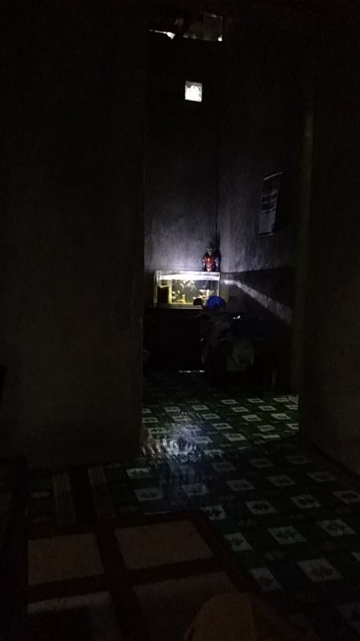 Maginot Kemeja Batik 2.0 Parama-ss Motif Timbul Lengan Pendek Pria + Free Masker