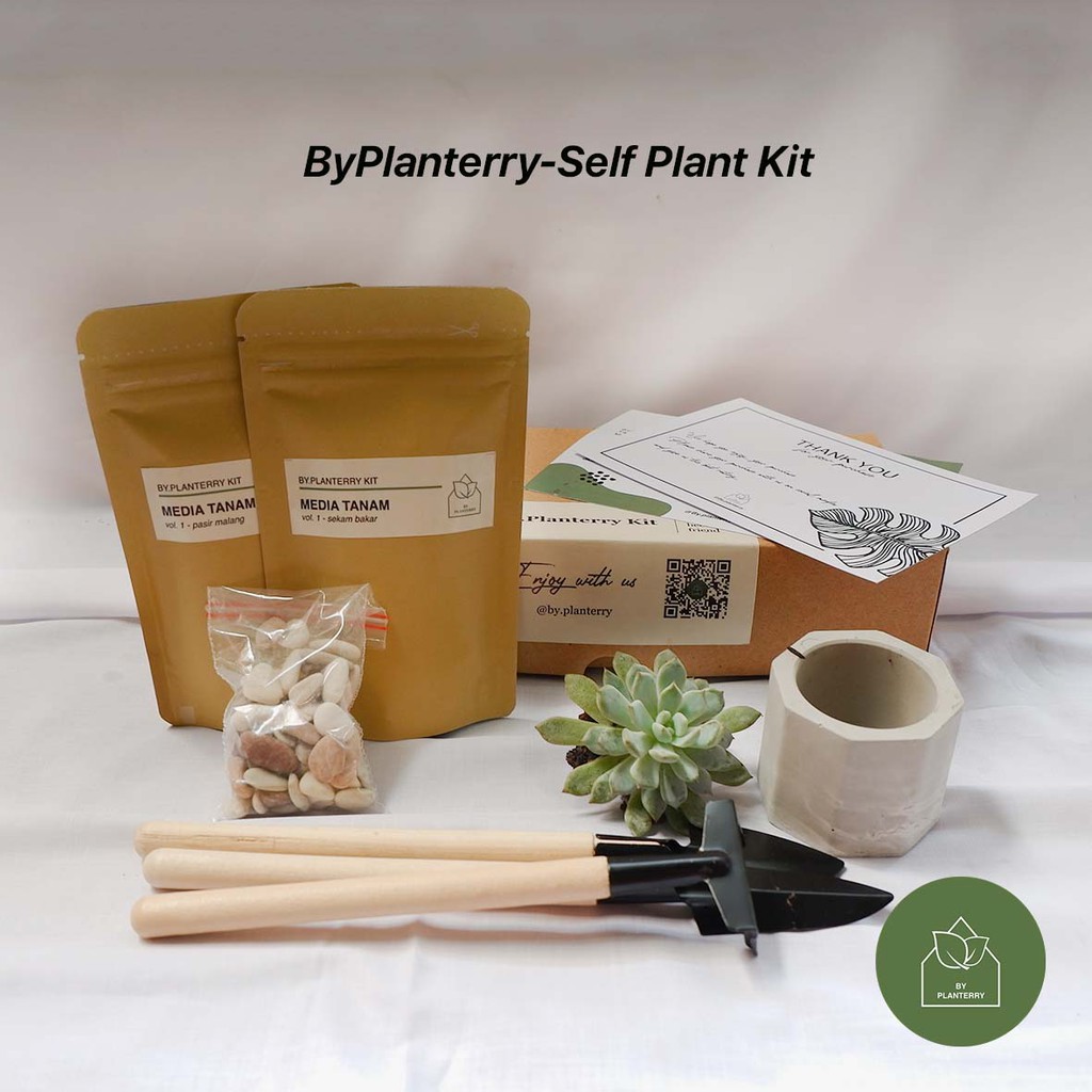 Reguler Box - Planting Kit/ DIY Kit/ Self-Plant Kit - Kaktus Sukulen