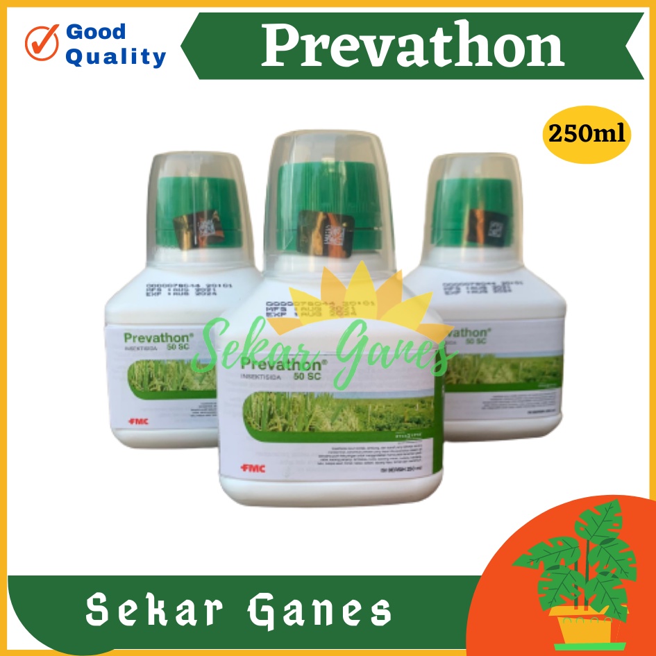 ORI INSEKTISIDA PREVATHON 50 SC 250 ML Obat Tanaman Pembasmi Hama Penggerek Batang Ulat Putih Obat Hama Tanaman Cabe Padi Tanaman Hias Buah Insektisida Sistemik Brofreya Ulat Grayak lalat Buah Ulat - Prevaton 50SC Termurah