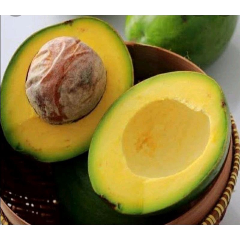 

Buah Alpukat mentega Super 1 kg