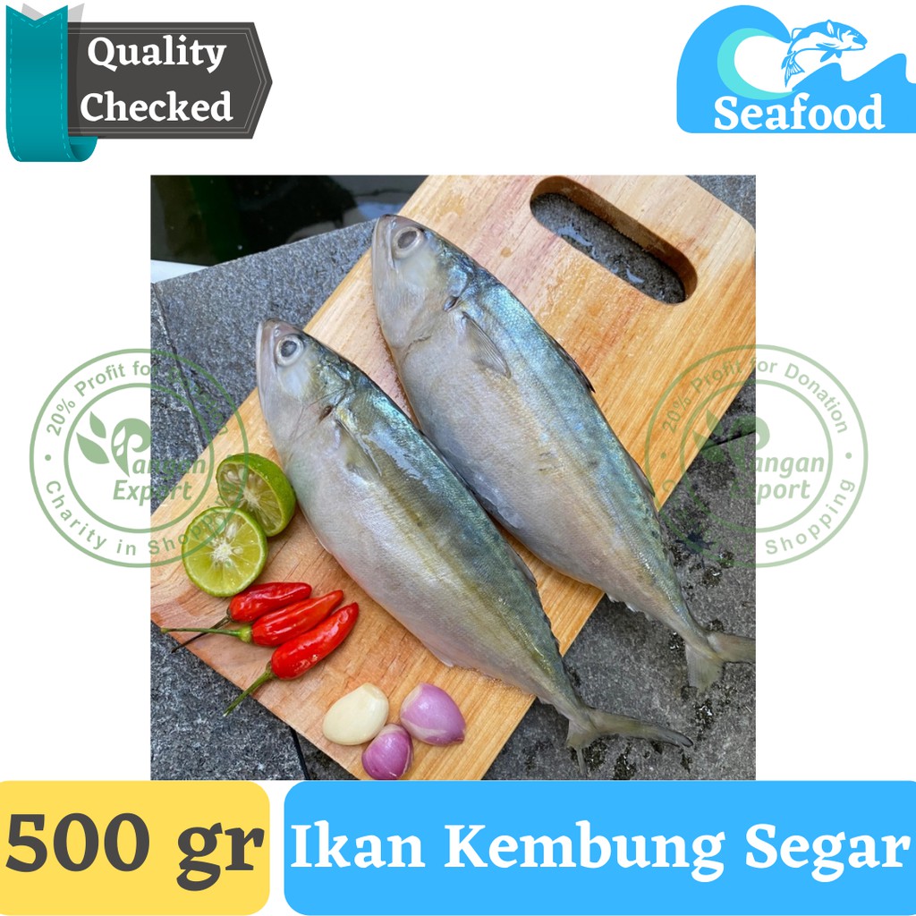 Jual Ikan Kembung Segar Ikan Kembung Banjar Shopee Indonesia