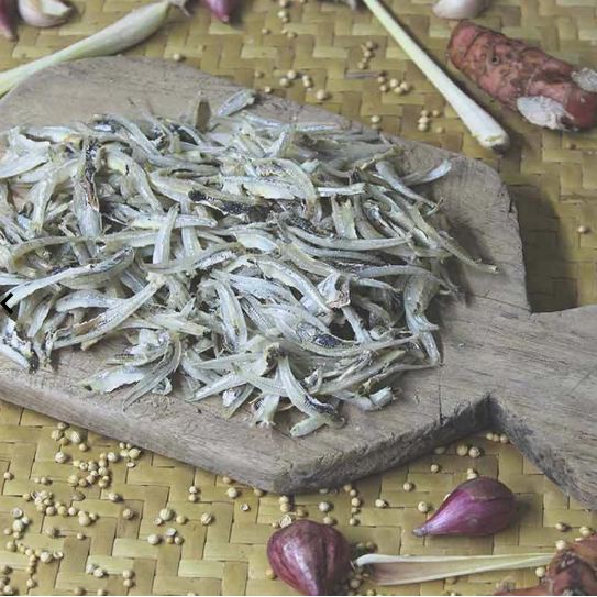 

Ikan Teri Lampung Berkualitas Higienis