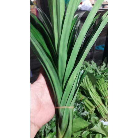 

daun pandan wangi/1iket