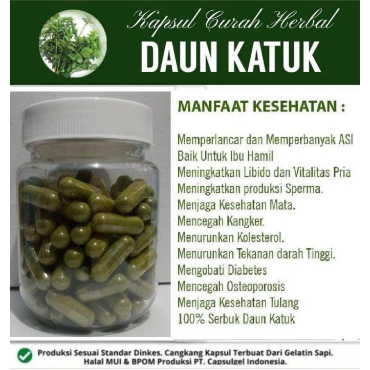 Jual Herbal Curah Daun Katuk 100 Kapsul Melancarkan Asi Menurun