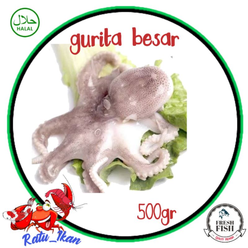 

gurita besar [500gr]
