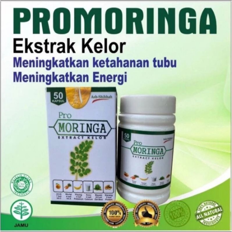 daun kelor kapsul | moringa | pro moringa / muringga