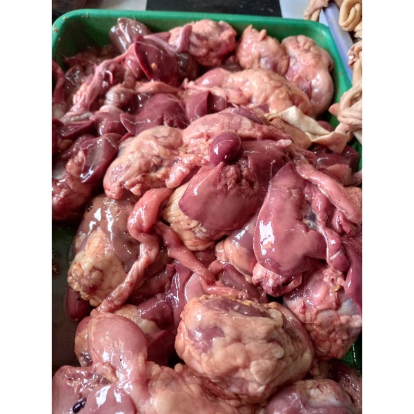 

ATI AMPELA AYAM