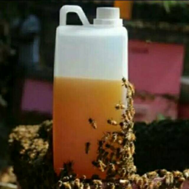 

Madu multiflora murni