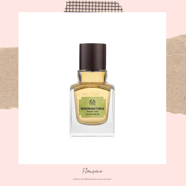 THE BODY SHOP WIDDRINGTONIA EDP 50ML