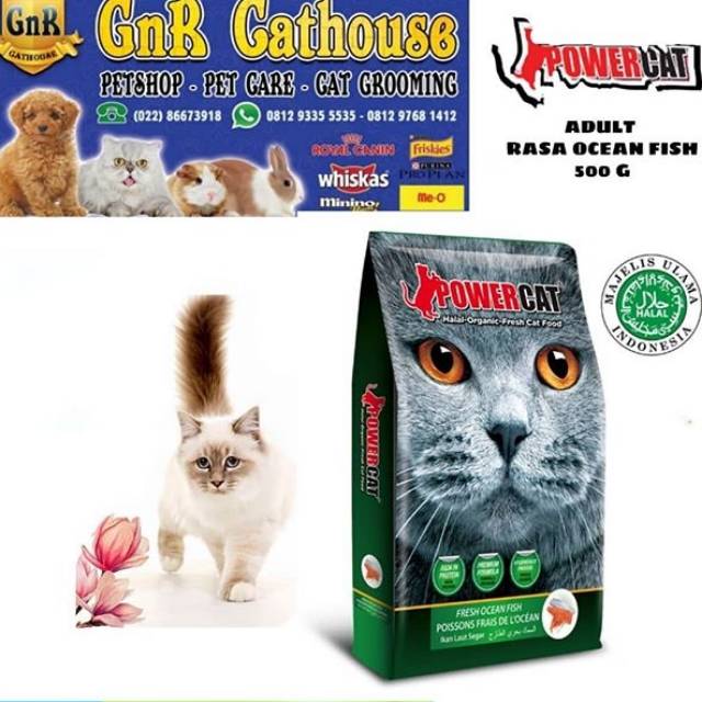 Power Cat Adult Ocean Fish 500gr