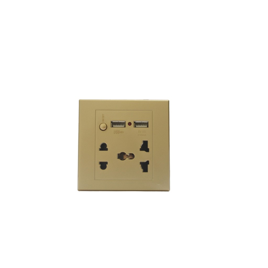 2 USB WALL SOCKET / Stop Kontak USB - Gold