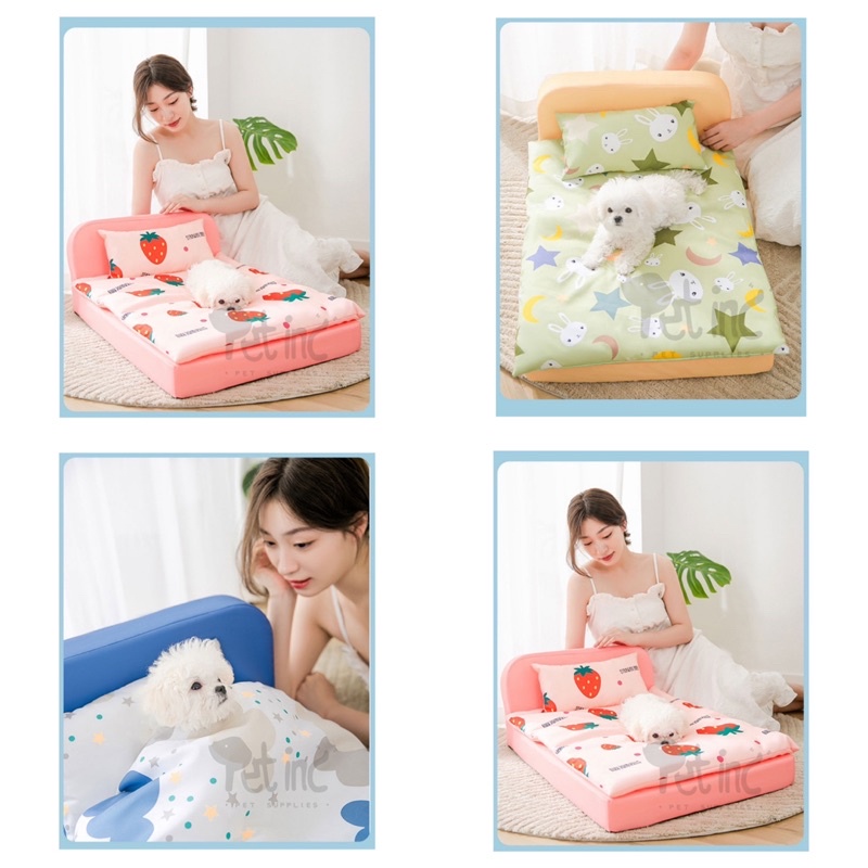 Chimdae pet sponge bed set with pillow and blanket