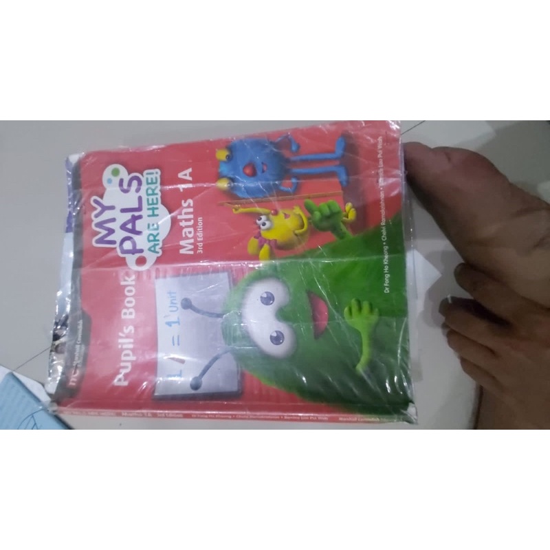 my pals math 1A pupils dan workbook