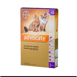 Advocate Obat Tetes Kutu Untuk Kucing Dan Musang Dibawah 4 Kg Shopee Indonesia