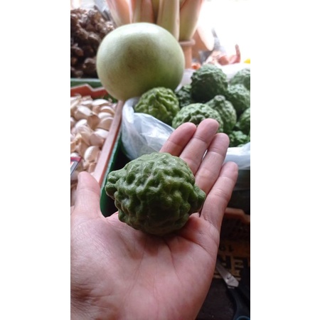 

jeruk purut jumbo jantan 1 kg