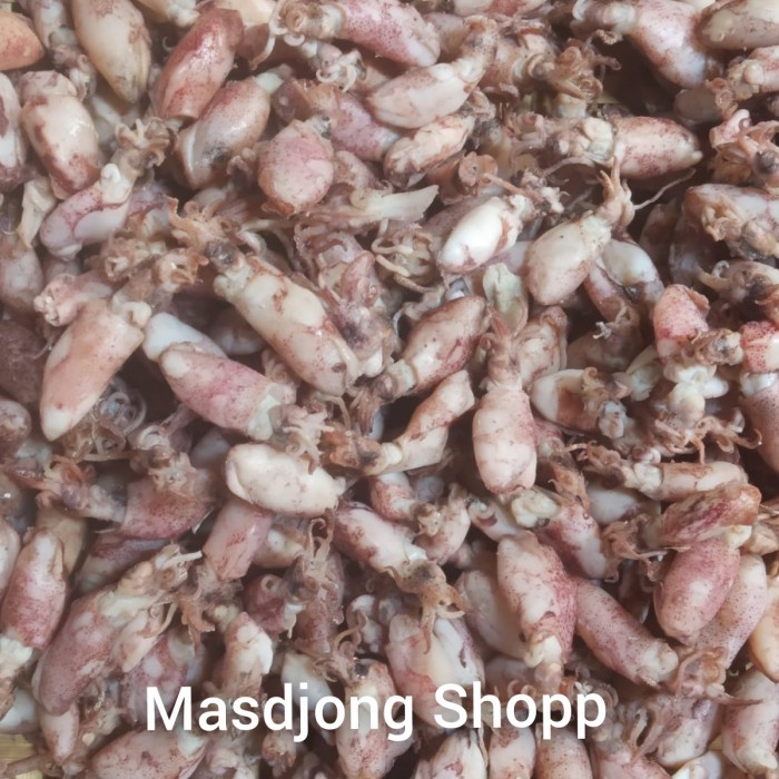 

cumi baby asin (1000gr/1kg).