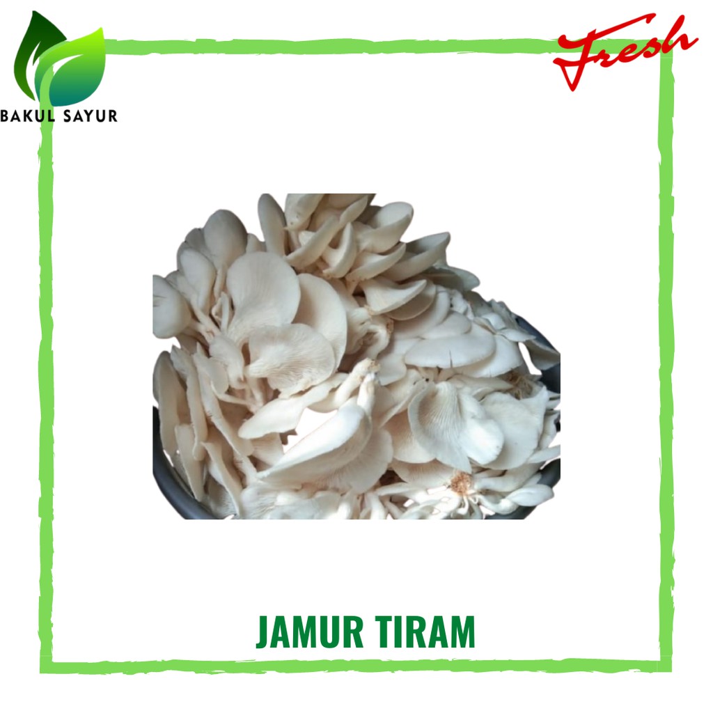 

JAMUR TIRAM PUTIH 250 GRAM - SAYUR SEGAR JAKARTA TIMUR