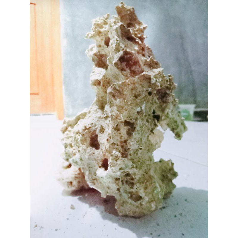 Batu karang untuk bonsai/aquascape/aquarium