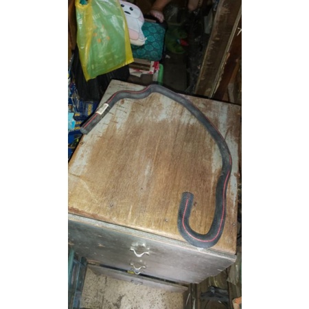 selang heater Peugeot 405 selang hiter Peugeot 405