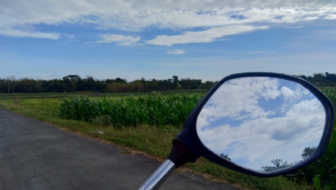 Pure Essential Fragrance Oils Aromatherapy Diffusers 10ml Original 100%