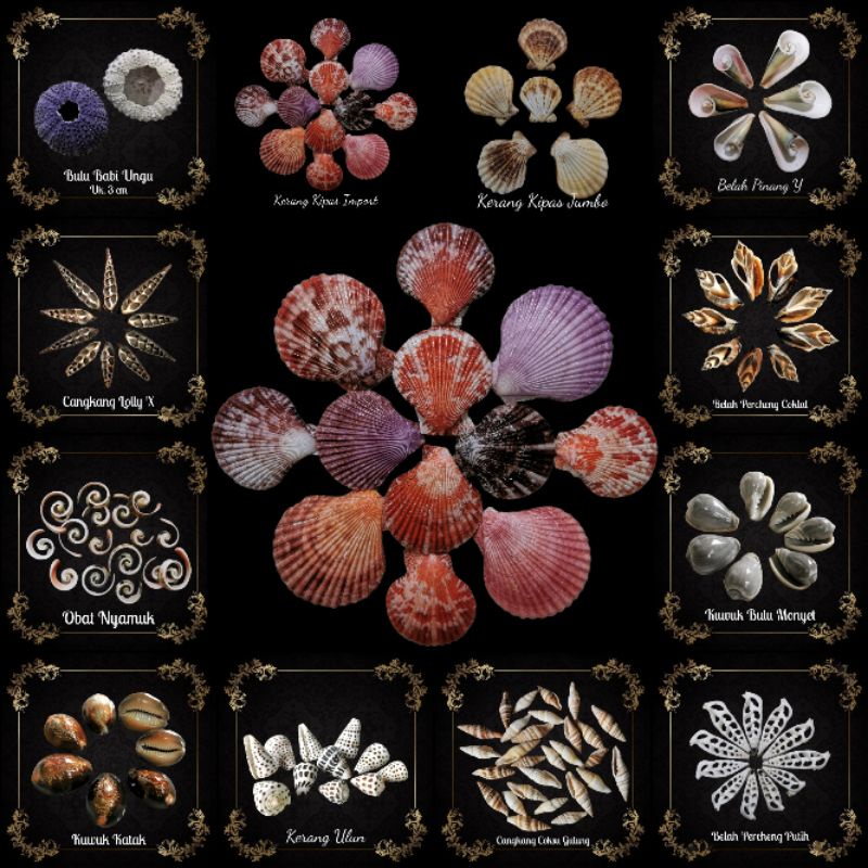 CANGKANG KERANG PRAKARYA SEKOLAH HIASAN AQUARIUM