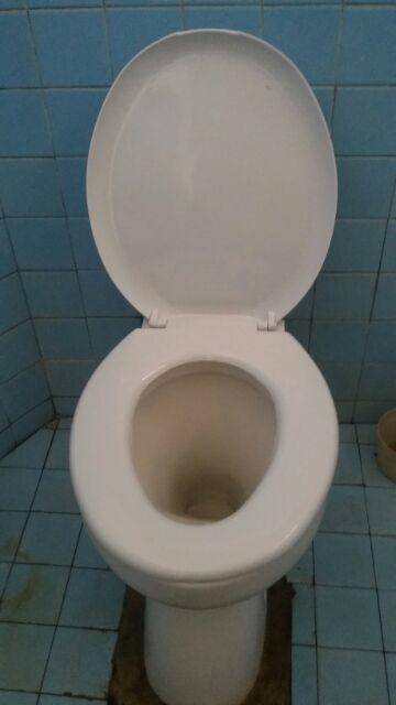 Tutup Kloset Duduk / Tuutp Closet Monoblock