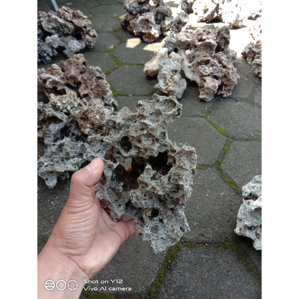 Batu Karang Bonsai / Aquascape