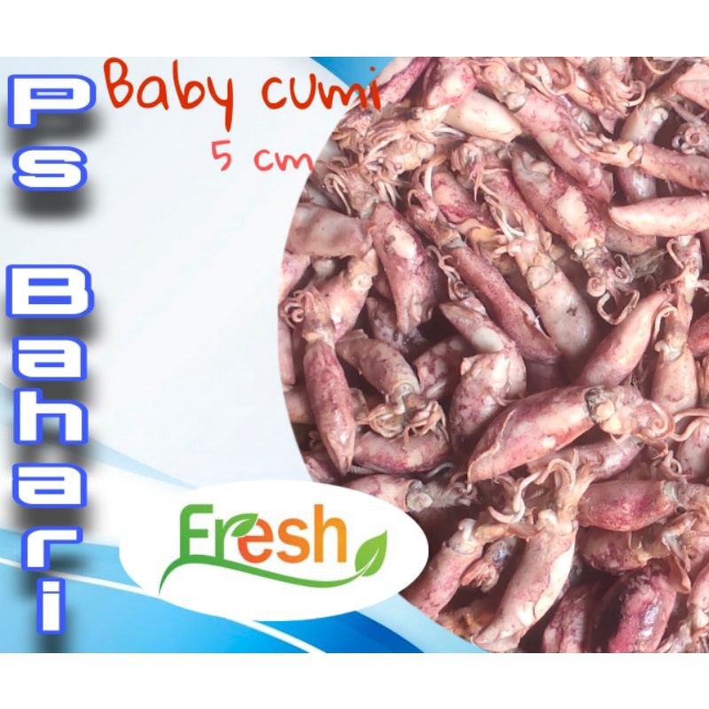 

Baby Cumi Asin fresh khusus sameday instan