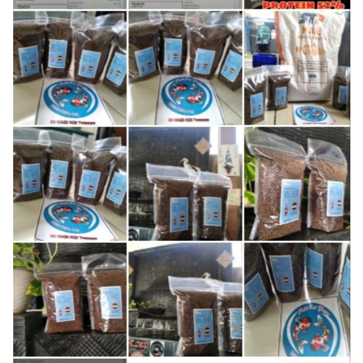 KAE Pakan Koi protein 50%-52% (5kg)