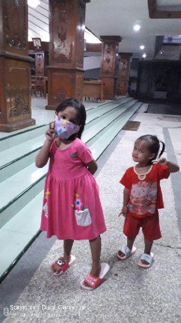 Beli 1 Gratis 1 Bantal Hotel Microfiber