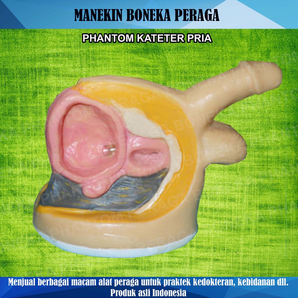MANEKIN/ALAT PERAGA/PHANTOM/KATETER PRIA
