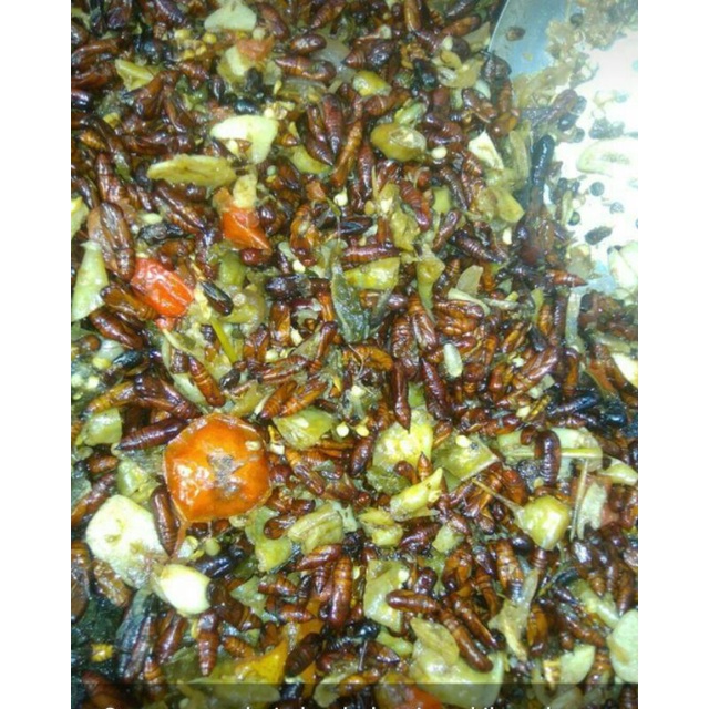 

Entung jati goreng 1/2kg