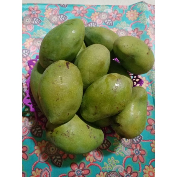 

HIJAU KUNING - MANGGA MANGGA POTONG