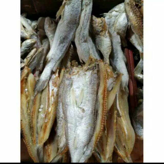 

IKAN ASIN KACANG