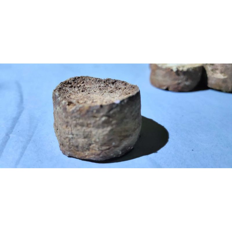 

Gambir olok asli babat Toman .100persen alami gak alami duit kembali'