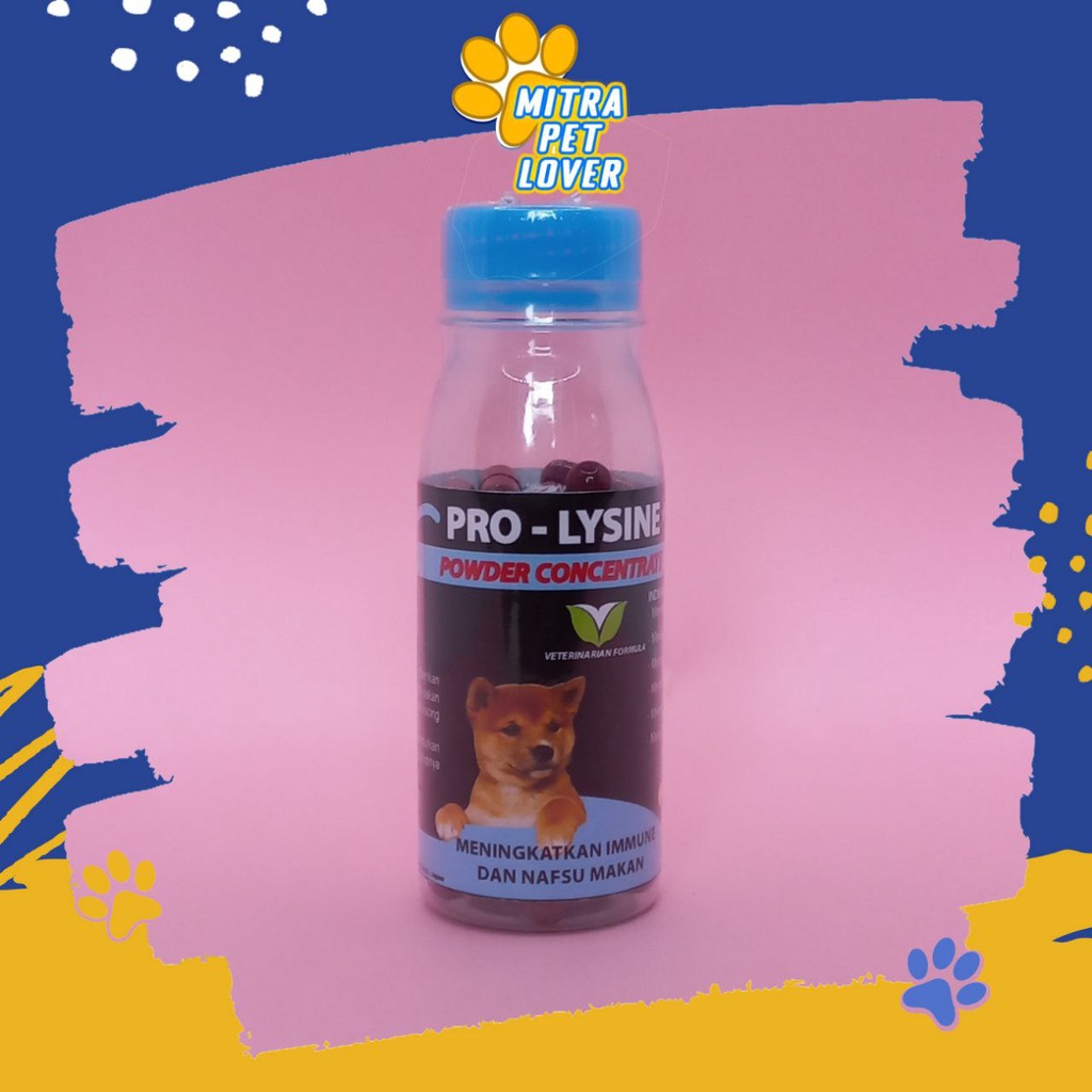 VITAMIN IMUN ANJING - PROLYSINE DOG 50 CAPS ORIGINAL - KAPSUL SUPLEMEN UNTUK TINGKATKAN IMMUNE HORMON ENZYM ANTIBODY DOGGY MENAMBAH NAFSU MAKAN PRO LYSINE CEGAH FLU - ANIMAL HEALTHCARE AND VETERINARY TAMASINDO OBAT HEWAN BINATANG PELIHARAAN MITRAPETLOVER