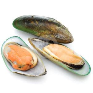 

Kerang Hijau Kupas Sebelah